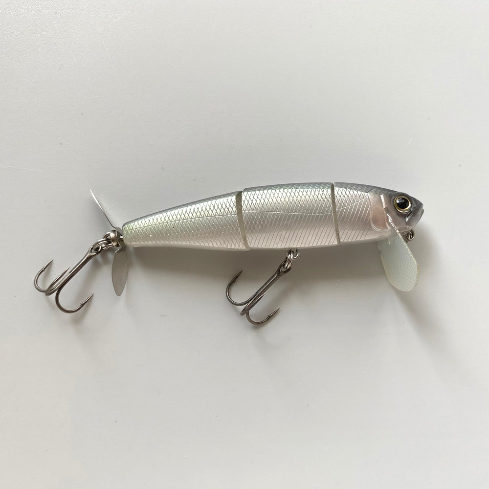 Jolly Sexy Shad