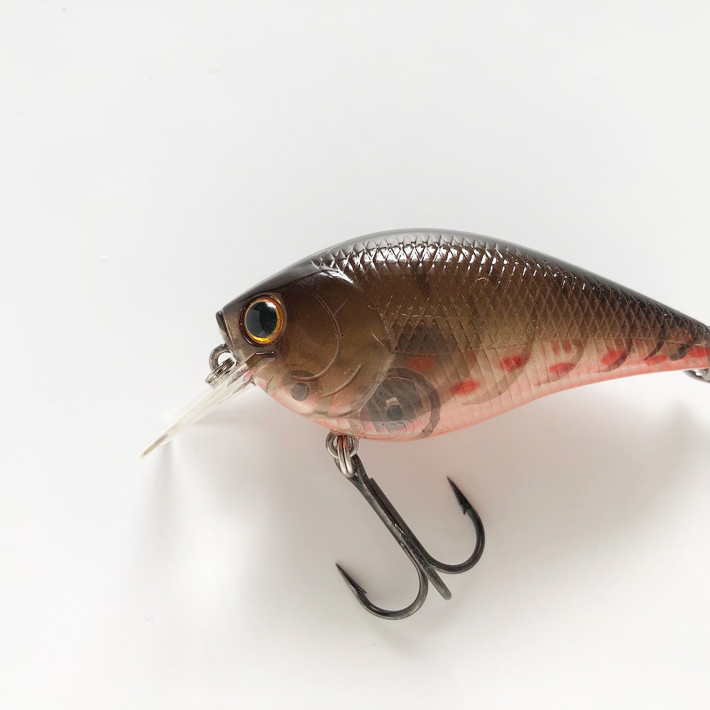 RC 1.5 BP Phantom Brown Craw