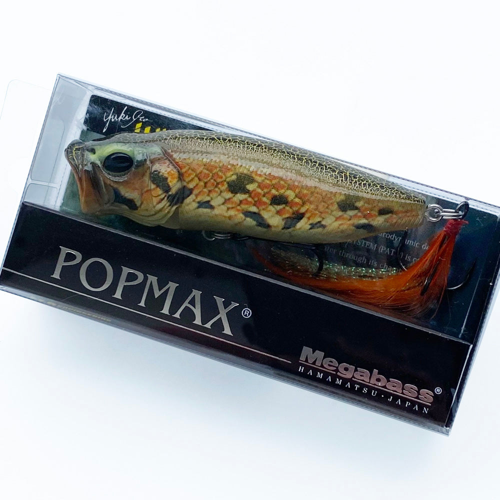 POPMAX ZIMUGURI (SP-C)