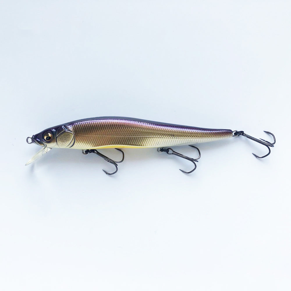 Vision 110 Oneten AL BIWAKO CHAMPAGNE SECRET (SP-C)