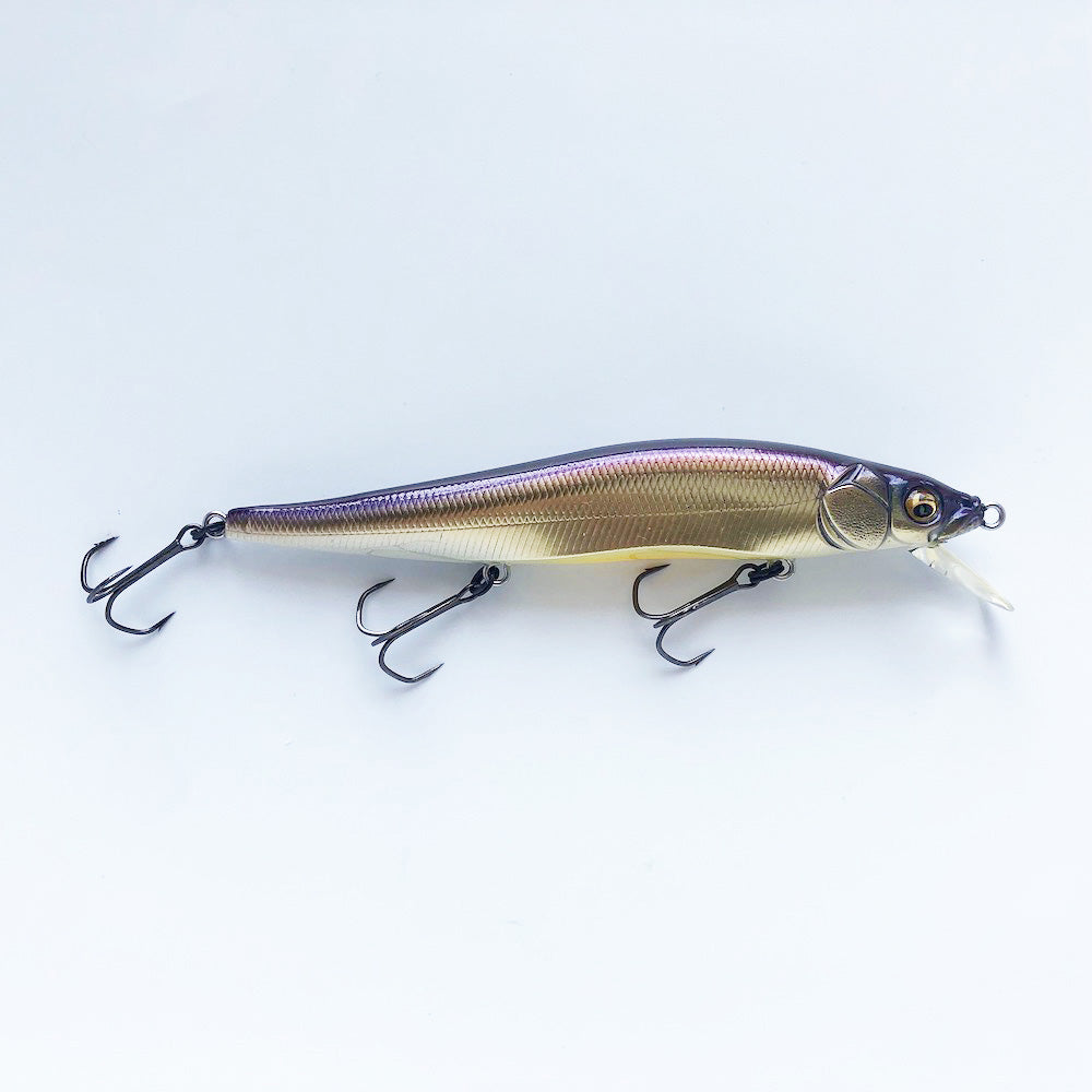 Vision 110 Oneten AL BIWAKO CHAMPAGNE SECRET (SP-C)