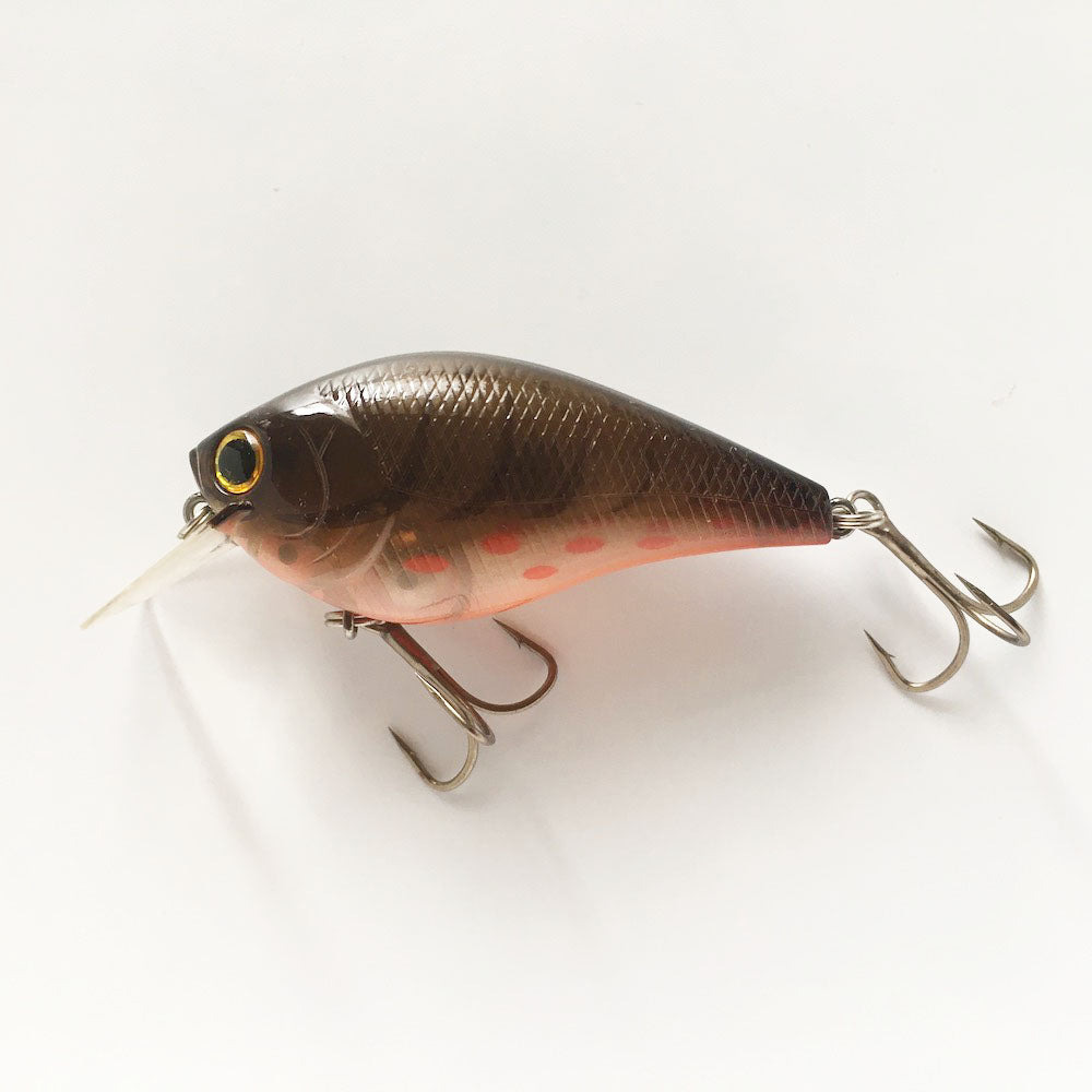 RC 2 BP PH BROWN CRAW