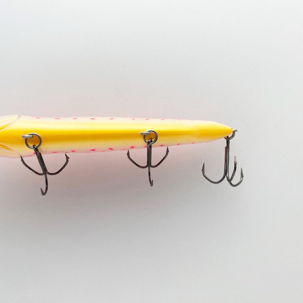 Lates SAKURA COACH (SP-C)