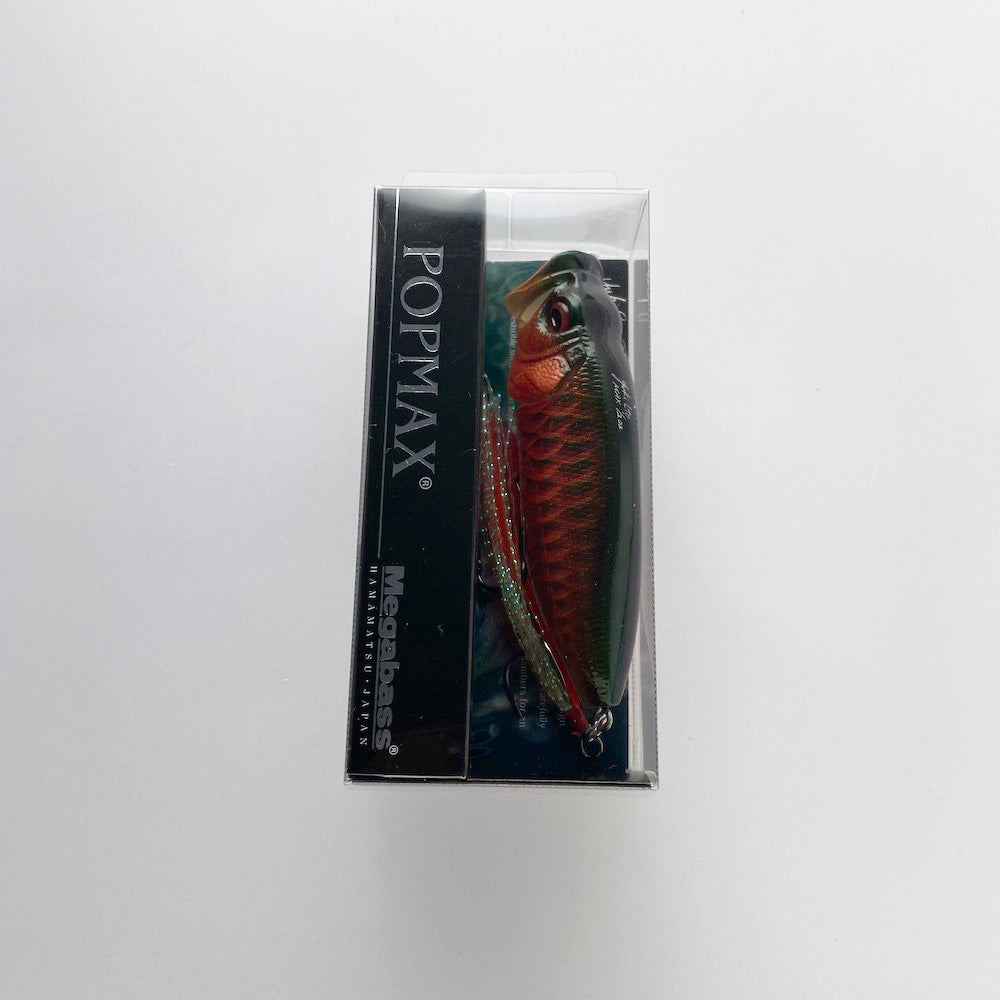 POPMAX RED AROWANA (SP-C)