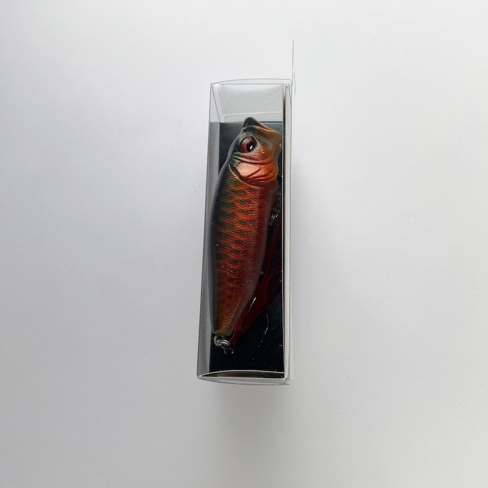 POPMAX RED AROWANA (SP-C)