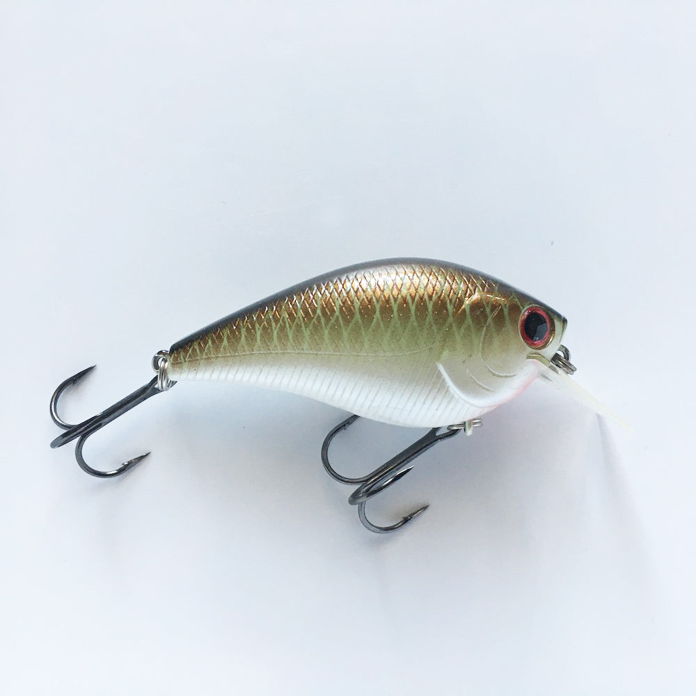 RC 2 Copper Green Shad