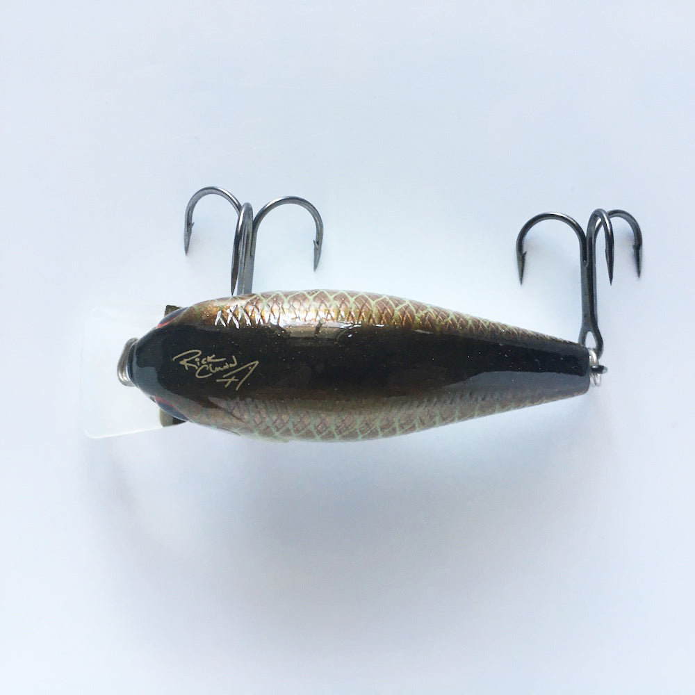 RC 2 Copper Green Shad