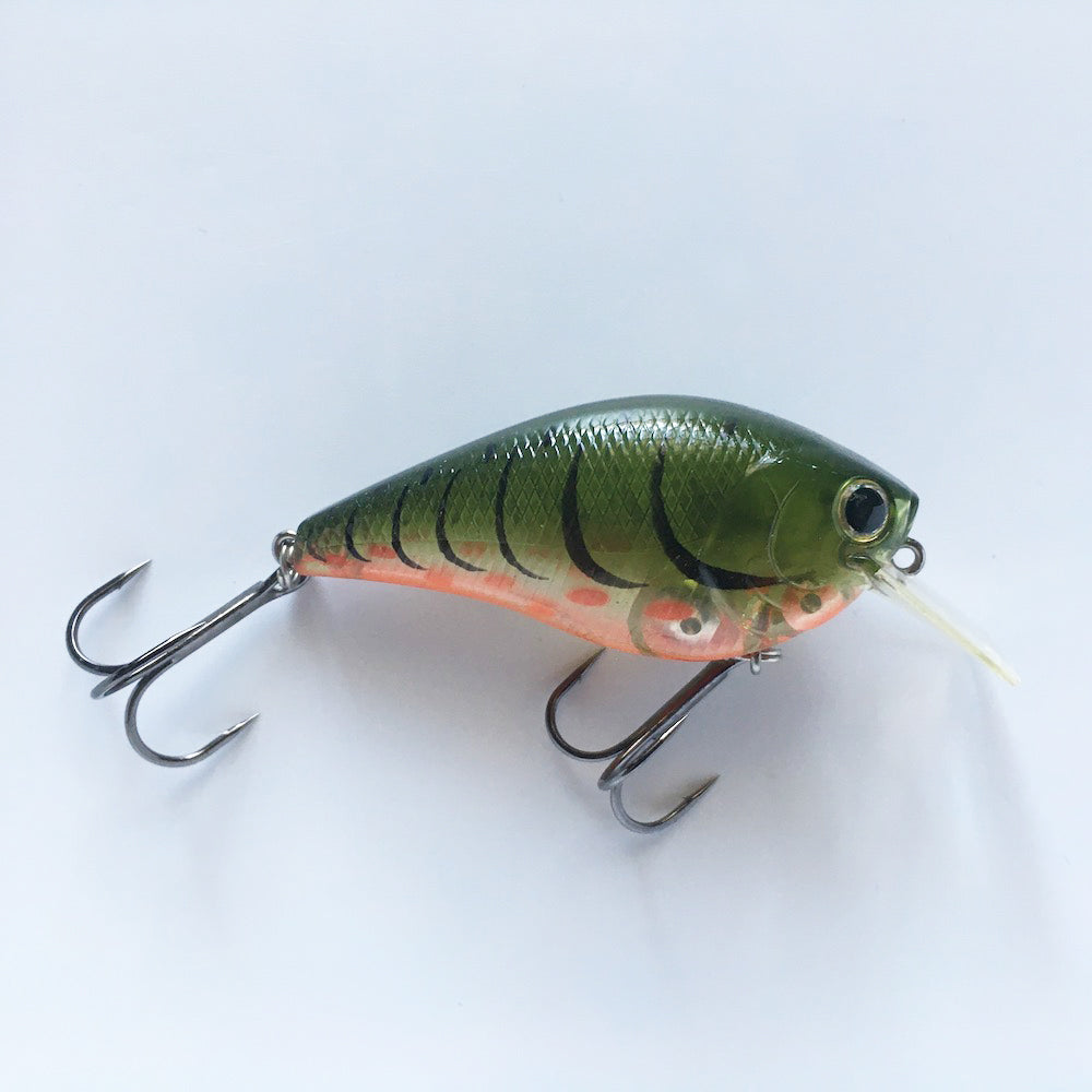 RC 2 BP PH Watermelon Craw