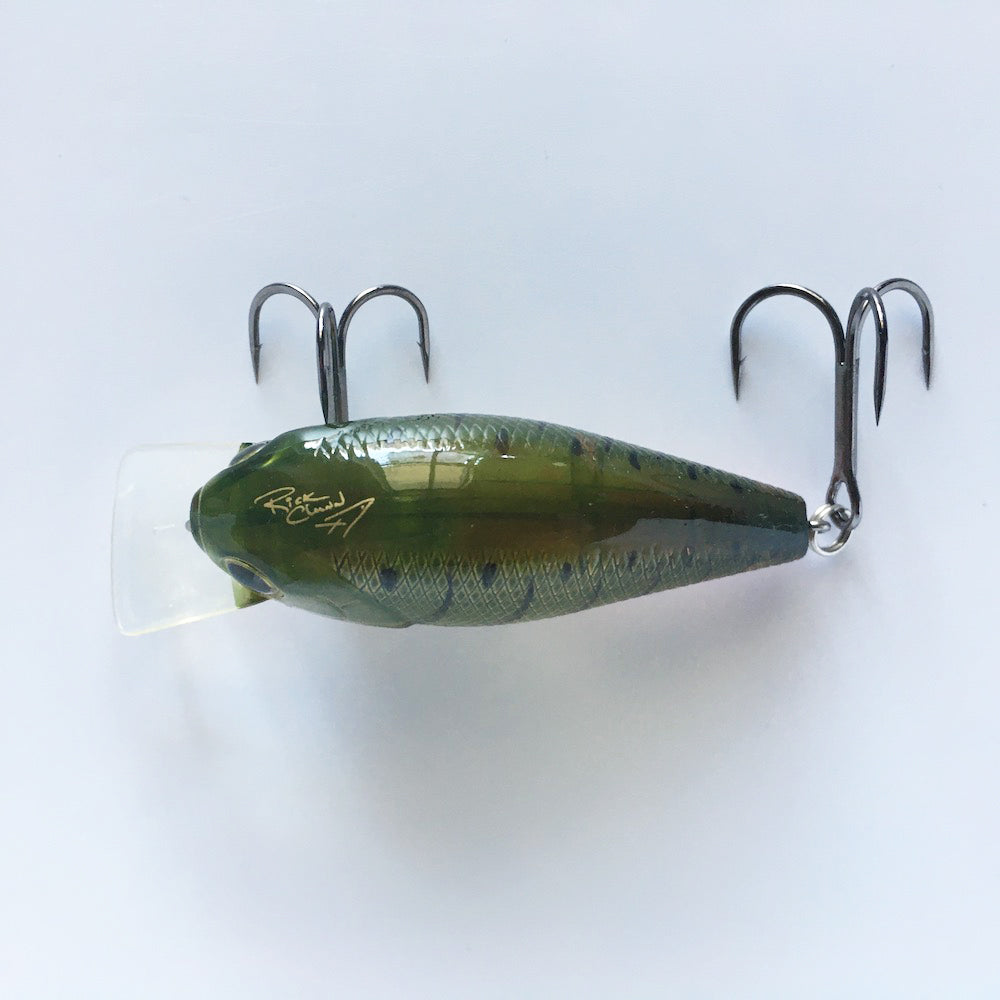 RC 2 BP PH Watermelon Craw
