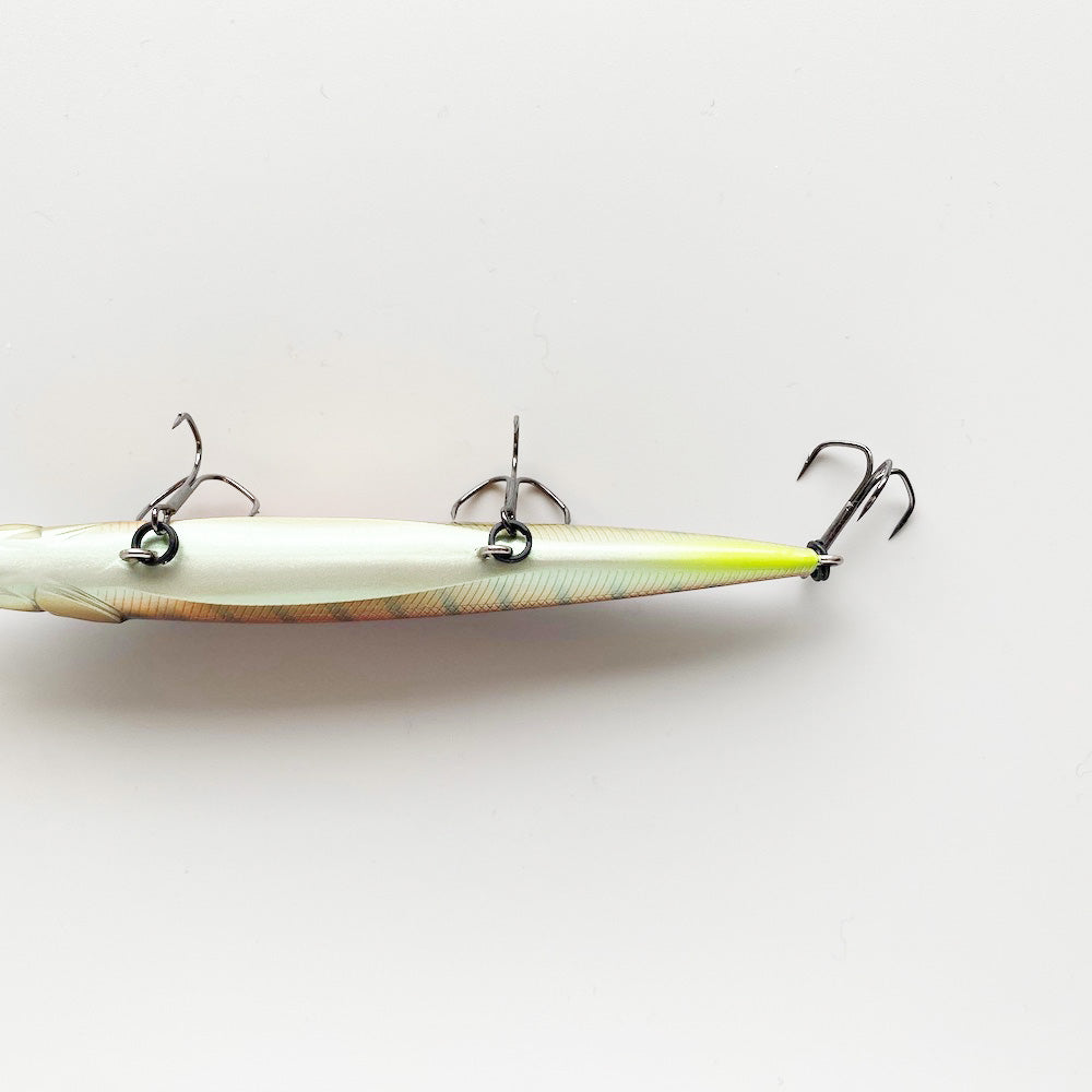 Vision 110+1 Oneten Plus One M ENDMAX