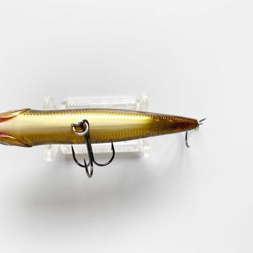 Giant Dog X TWILIGHT SECRET