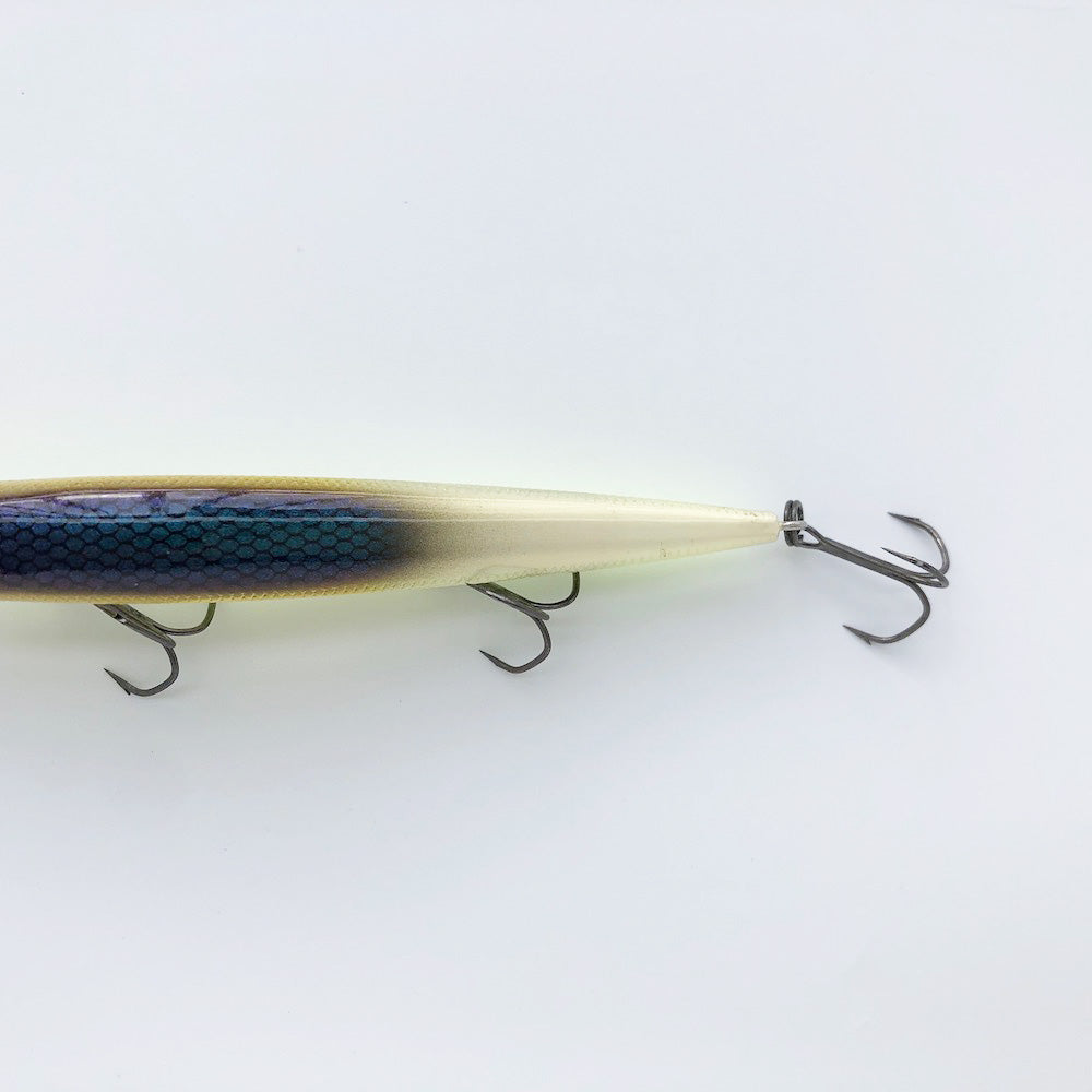 Vision 110 Oneten TLC