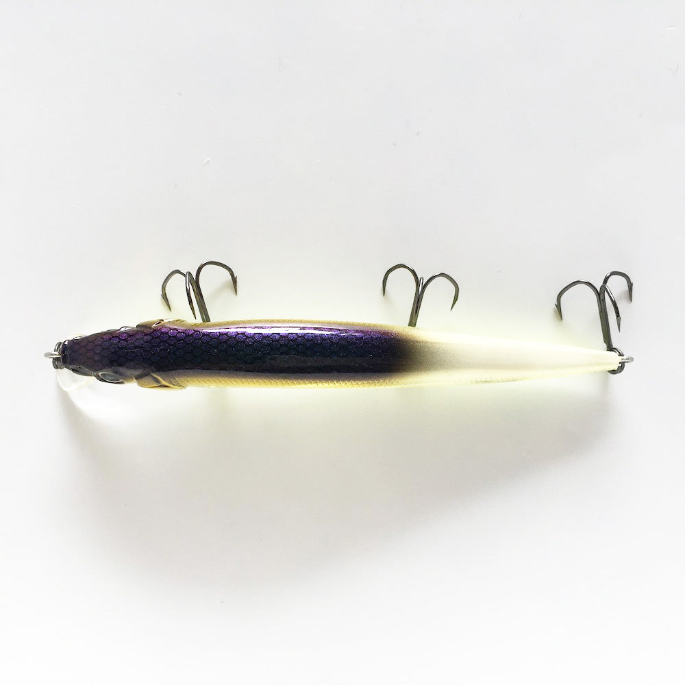 Vision 110 Oneten TLC
