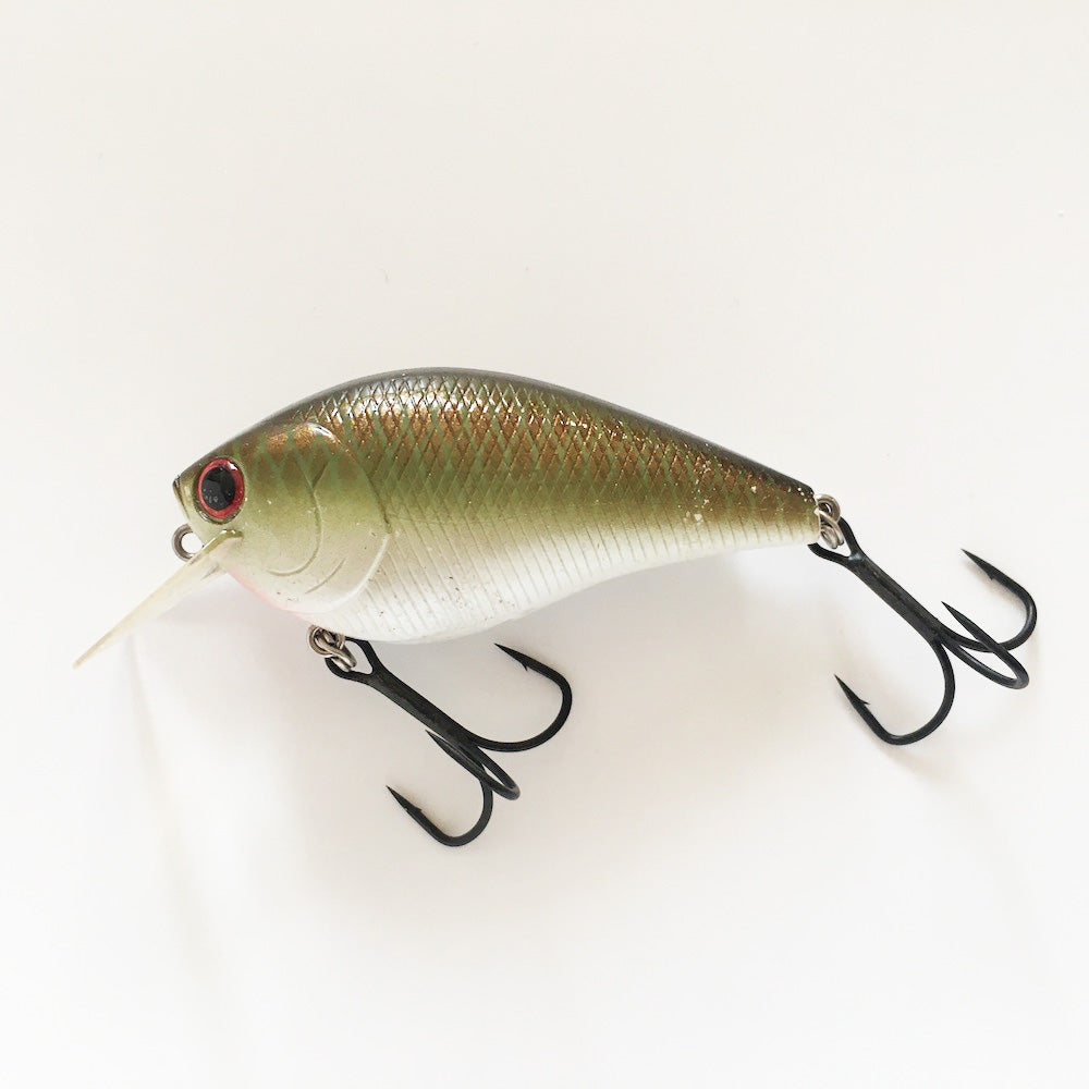 RC 2.5 Copper Green Shad