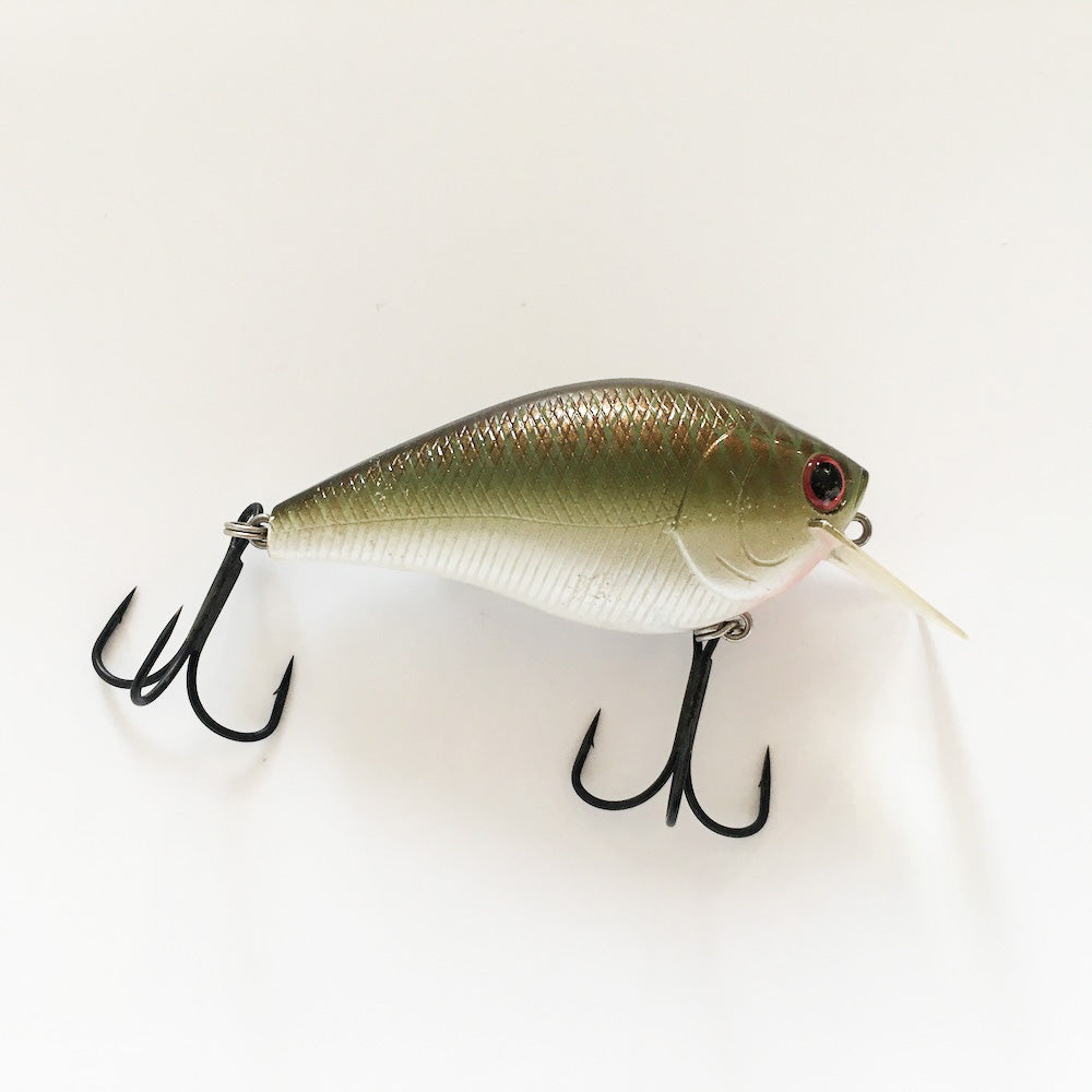 RC 2.5 Copper Green Shad