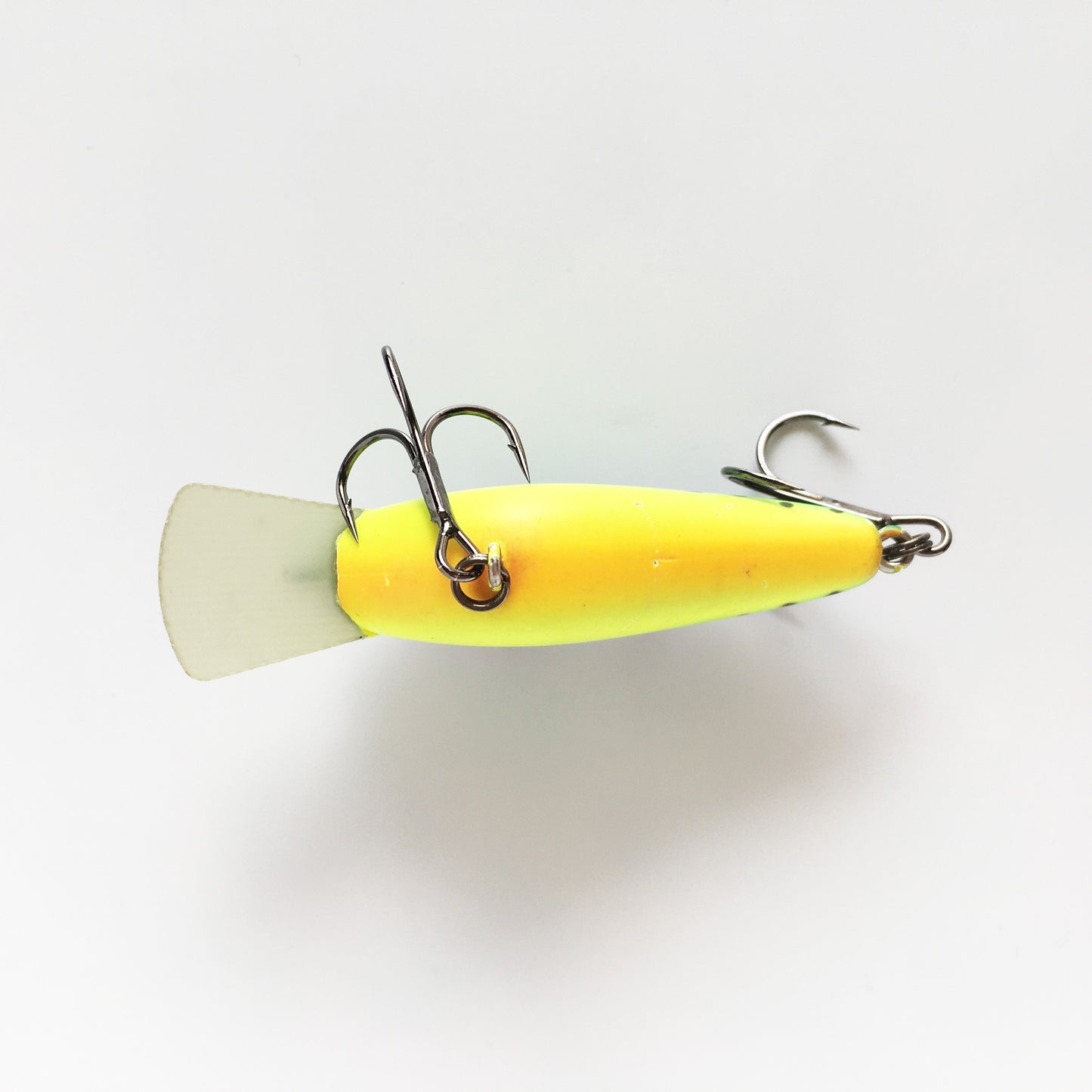 Bling 55 Matte Hot Tiger