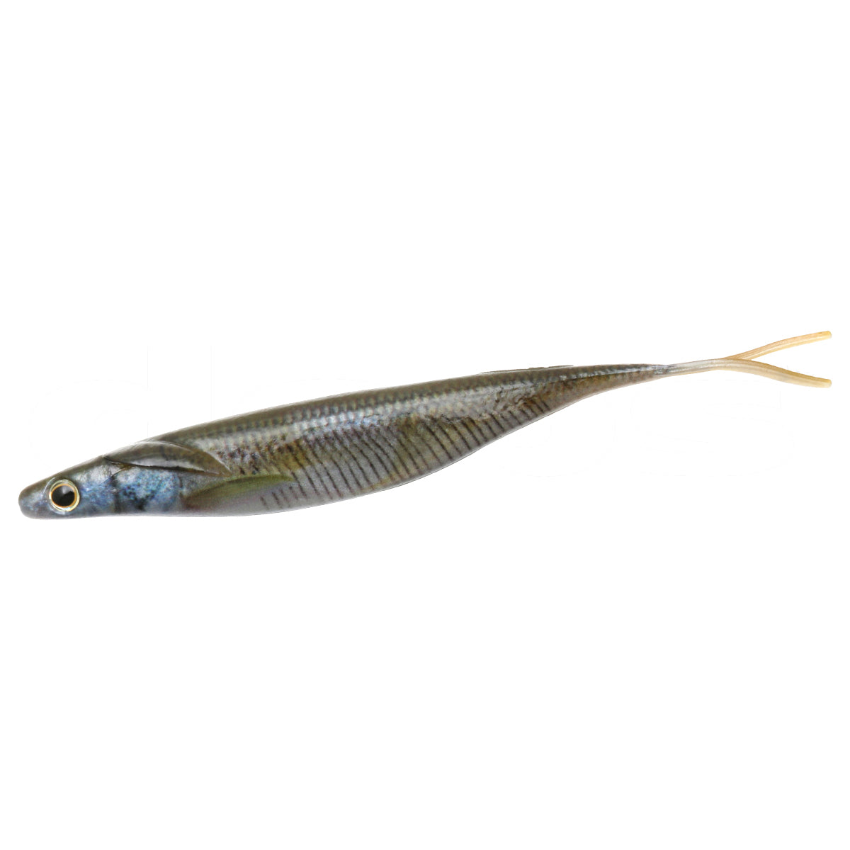 SAKAMATA SHAD REAL NON SALT