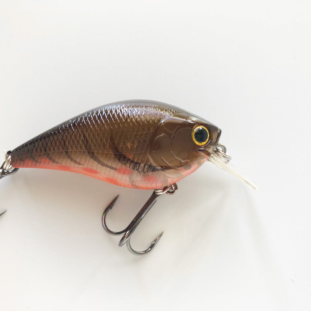 RC 1.5 RT BP Phantom Brown Craw