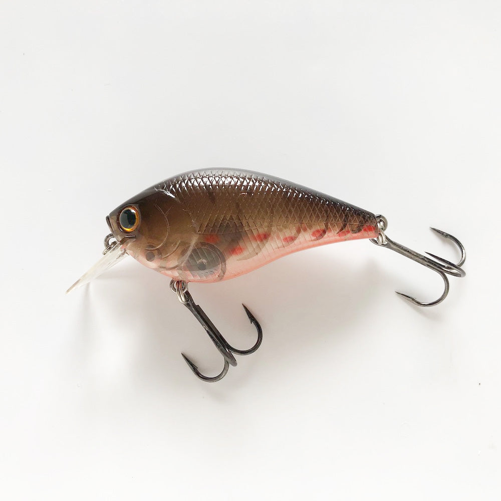 RC 1.5 BP Phantom Brown Craw