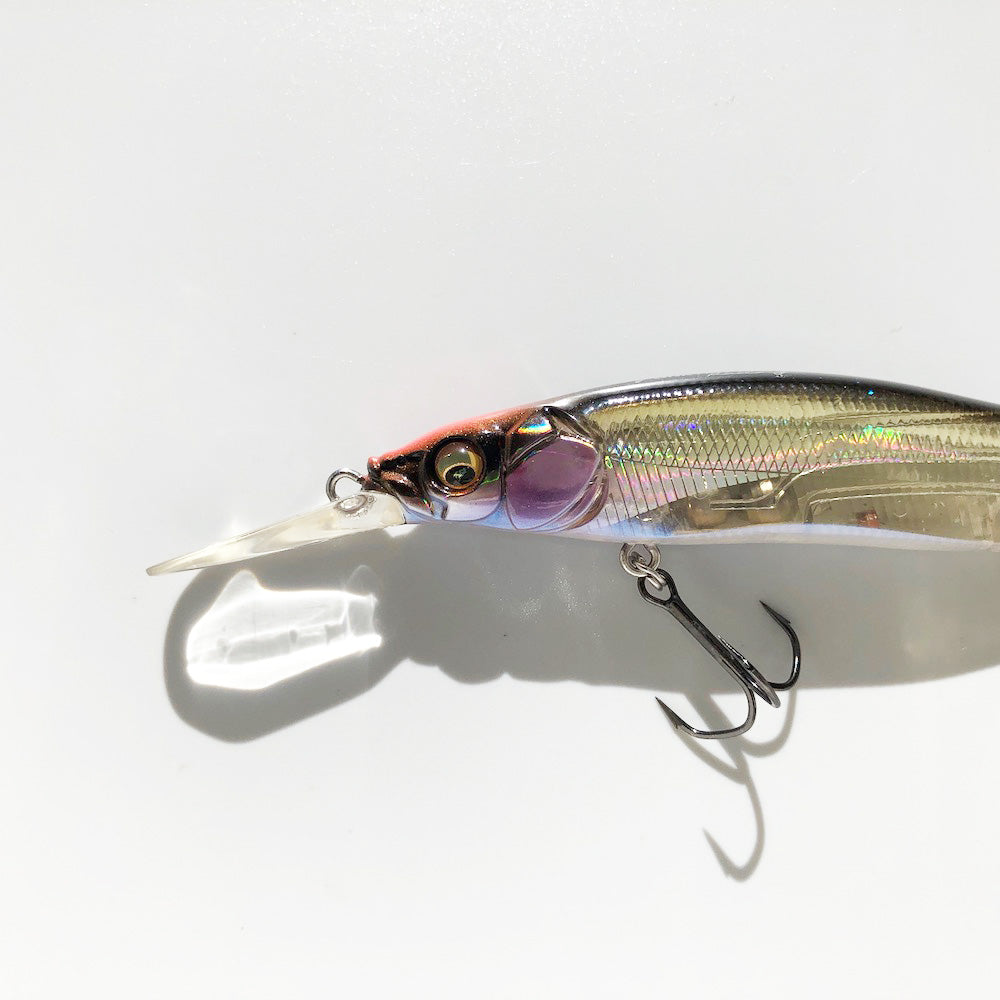 Vision 110+1 Oneten Plus One Racing SIGNAL RACING SHAD