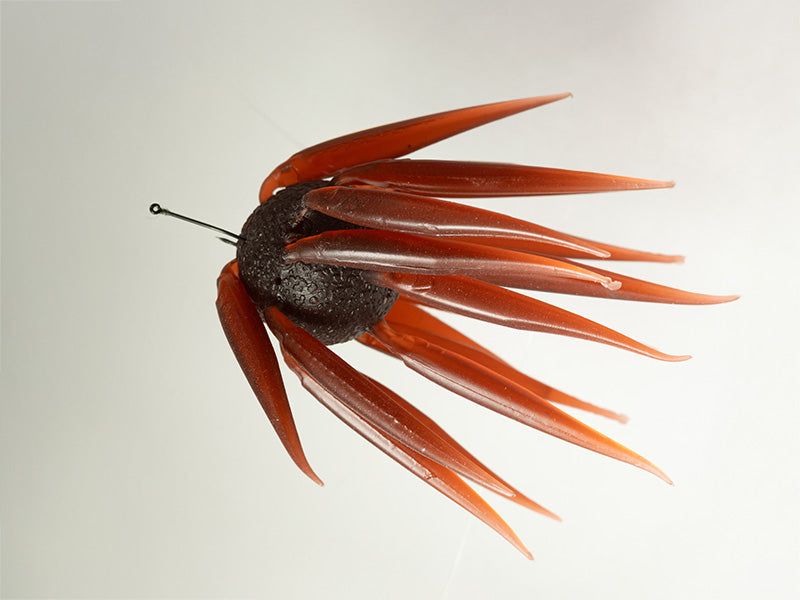 Coike Fish M Elastomer