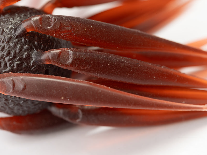 Coike Fish M Elastomer
