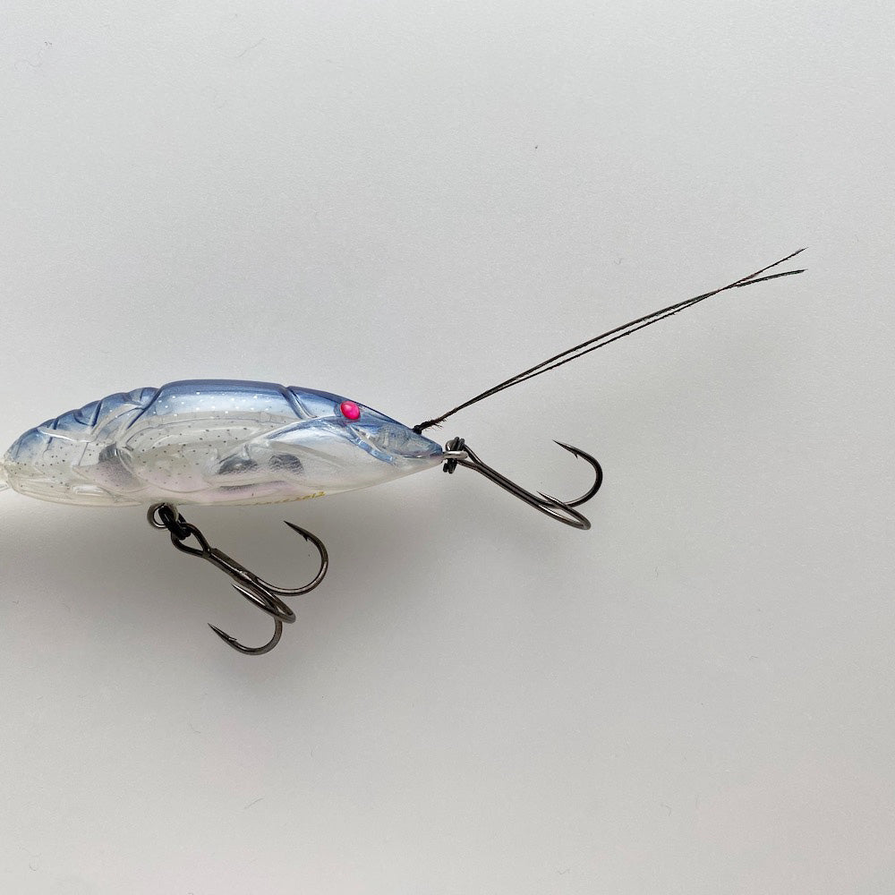 Megabass x dad - Sport & Plein air Megabass x dad - Sport & Plein air
