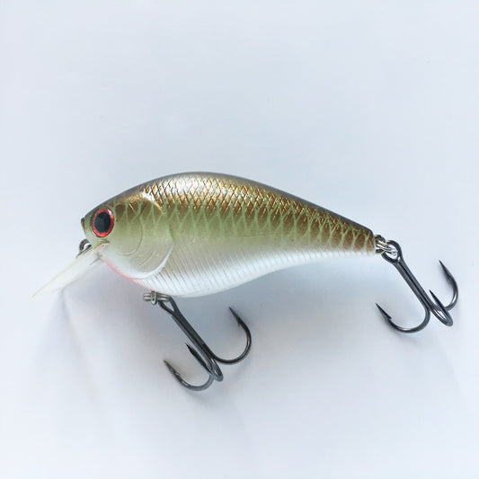 RC 2 Copper Green Shad