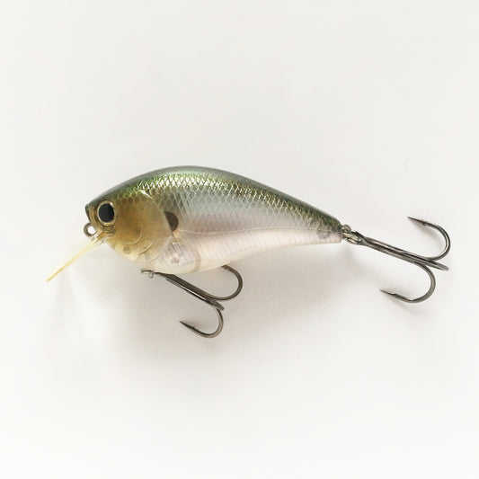 RC 2 MJ GHOST MINNOW