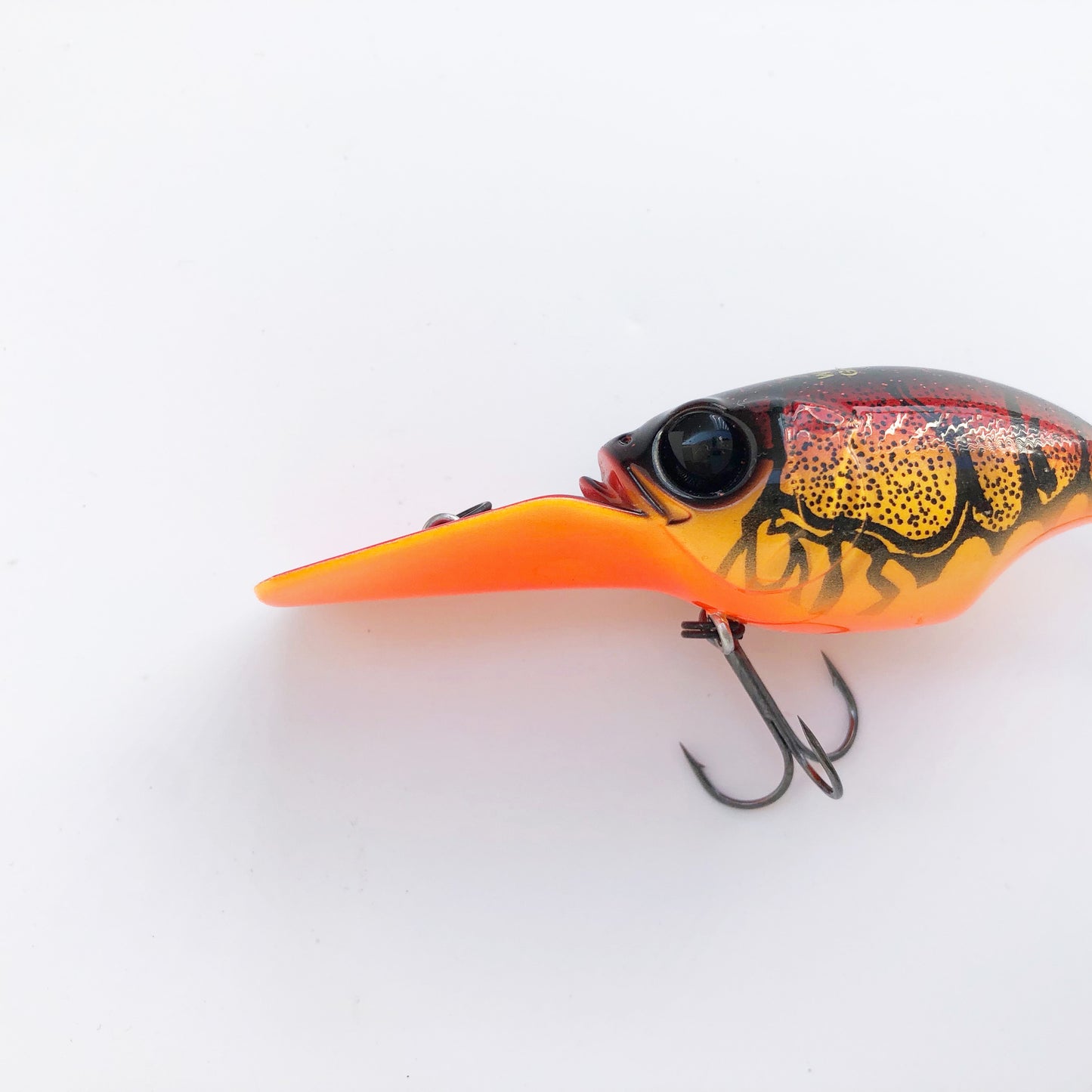 Wiggle Griffon WILD CRAW