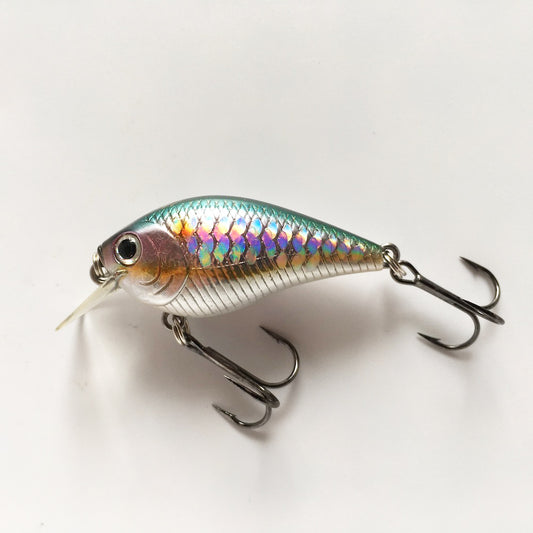 RC 0.5 American shad